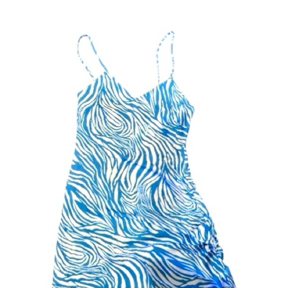 DREAMER, NWT, WOMENS, BLUE & WHITE ZEBRA PRINT, CAMI DRESS. MIDI LENGTH. SIZE L - Picture 2 of 12